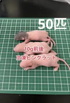 Item thumbnail for item fb15e239-497c-42ac-9321-f7770df6d768