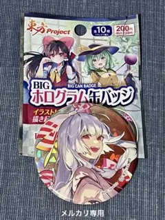 東方 BIGアクスタ BIG缶バッジ 各全10種 コンプセット メルカリ便 東方 BIGアクスタ BIG缶バッジ 各全10種 コンプセット メルカリ便 2025年