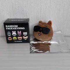 Stray Kids RANDOM FACE KEYRING ハン