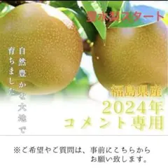２０２４年　豊水梨　コメント専用　※完売の為、終了しました。