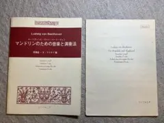 Item thumbnail for item 978eb680-80c3-4ef4-a58f-d6e6beba2768