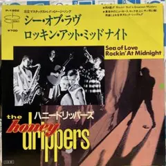 Item thumbnail for item 8e67a9a6-e6d3-4cc4-b7ed-5d5ed360e1f7