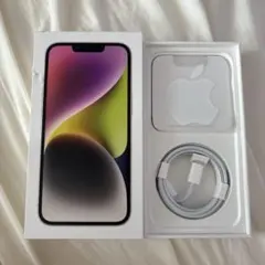 Item thumbnail for item ffbb0b5c-dd66-461f-9363-2e2e16402761