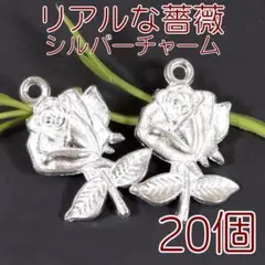 Item thumbnail for item 2a614002-9390-4d33-9777-120dcfc3ca4b