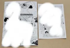 愛の温度でとかしたい　アニメイト特典