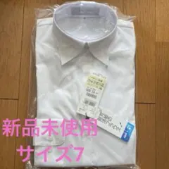 Item thumbnail for item 7c4a8fbb-be6f-499f-ba53-e832cfea34ea