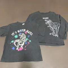 デビロック 恐竜Tシャツ2枚セット 130cm