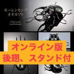 いきもの大図鑑　コーカサスオオカブト（モーレンカンプオオカブト）オンライン限定版