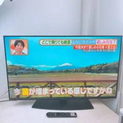 SHARP 6E-C10-G 初期液晶テレビ 箱付 希少色Zs431 - メルカリ