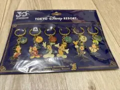 東京ディズニーリゾート 30周年 キーチェーン 6種セット