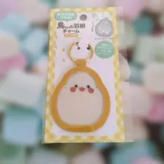 버드 페더 참