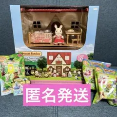 【海外版】シルバニア　はじめてのシルバニアファミリー フレア　家具セット