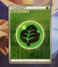 基本エネルギー 草 Break ミラー