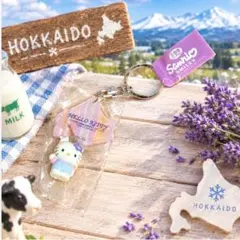北海道限定 ハローキティ キーホルダー ご当地キティ 산리오 キティちゃん