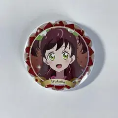 2025年最新】アイカツバースデー缶バッジの人気アイテム - メルカリ