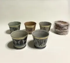 エクレクティックカイカイ　ハイヤームの詩　陶磁器皿 3枚セット エクレクティックカイカイ ハイヤームの詩 陶磁器皿 3枚セット - メルカリ