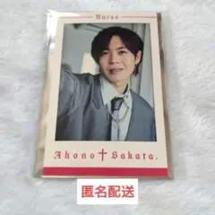 あほの坂田。nurseランダムフォトカード チェキ あほの坂田。 チェキ ランダムミニフォトカード Nurse となりの