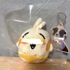 どんどん　スクイーズ　パンツ　うさぎ