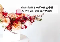 chamia＊オーダー休止中様 リクエスト 2点 まとめ商品