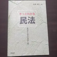 きっとわかる民法 : 民法から学ぶ法学入門
