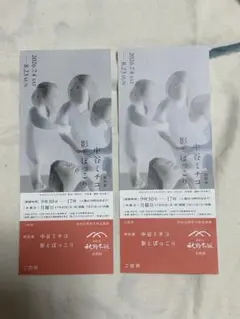 浜松市秋野不矩美術館　中谷ミチコ 影とぽっこり 特別展　招待券２枚のサムネイル