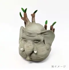 パキポディウム　グラキリス　エレファント　グラキリスフィギュア　植物フィギュアのサムネイル