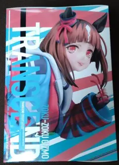 ※セット販売限定　ウマ娘　トランセンド　フィギュア　ダイカットクッション