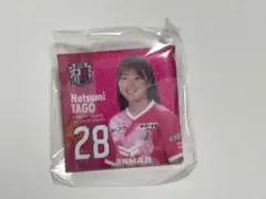 セレッソ大阪ヤンマーレディース　ガチャ　田子夏海　バッジ