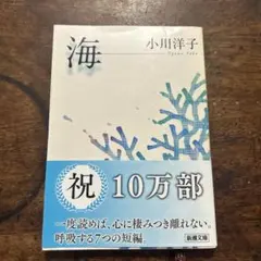 海
