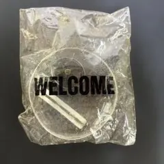 Item thumbnail for item 2446f674-625d-41f4-bf63-2d865b907129