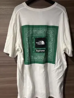 Supreme The North Face バンダナ柄Tシャツ