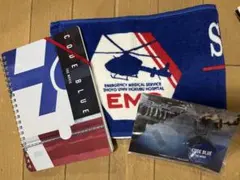 Item thumbnail for item 315a85e9-8aa4-4fd0-a606-518d15702efa