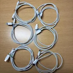 Apple純正Lightningケーブル 6本セット ホワイト