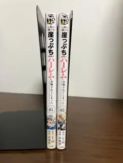 mitsu 32様 リクエスト 2点 まとめ商品