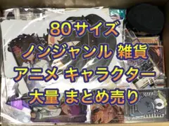 80サイズ ノンジャンル 雑貨 大量 まとめ売り
