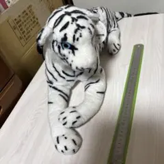 Item thumbnail for item 3dc65012-83bd-45d3-9fbe-5a2145209764