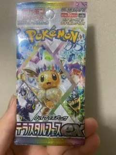 テラスタルフェスex バラパック