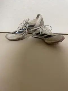 Item thumbnail for item 08be9286-4911-415d-bbc5-9df77b9deb28