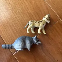 アニアくじ　アライグマ　サーバルキャット　アニア　TOMY