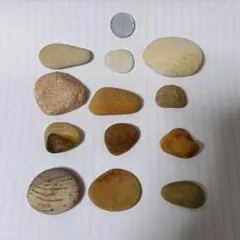 北海道産　オレンジ系石ころ　天然石　水玉　縞模様　貝殻2こ付き 詰め合わせ