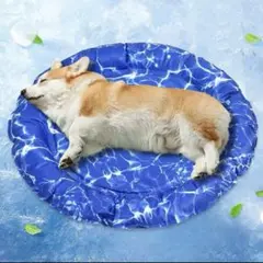 Item thumbnail for item 2d9391c4-2a9b-44c0-ae23-69eb82a6e9f9