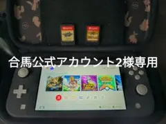 【合馬公式アカウント2様専用】Switch Lite とケース + ゲーム2本