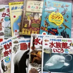 まーちゃん様専用　ハッピーセット 図鑑・絵本16冊セット　シール付 動物
