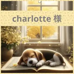 charlotte 様❤︎専用