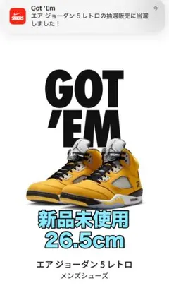 Nike Air Jordan 5 Retro Tokyo 23 (2025)