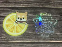 JOCHUM まめちぃ　ステッカー