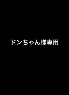 ドンちゃん様 リクエスト 2点 まとめ商品