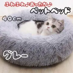 Item thumbnail for item a2fa1a3d-bbaa-4e9d-8863-5ccd72754095