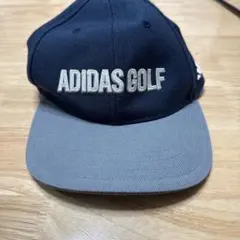 Item thumbnail for item b50155ee-8122-468c-a4e9-d238784a4e0e