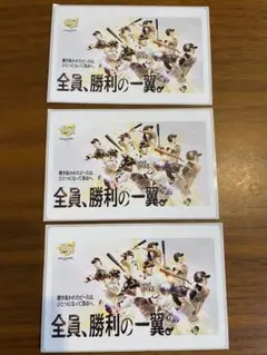 福岡ソフトバンクホークス全員、勝利の一翼 ステッカー